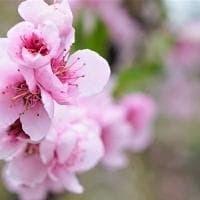 相关系数（关于相关系数的基本详情介绍）