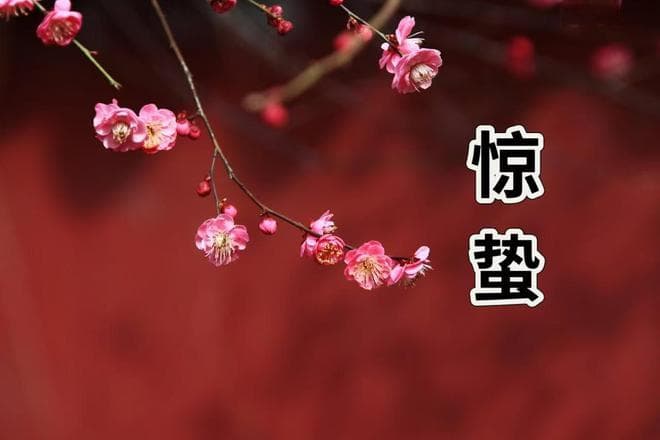 惊蛰习俗：1要扫，2不做，3要吃，寓意无灾无疾，事事顺心
