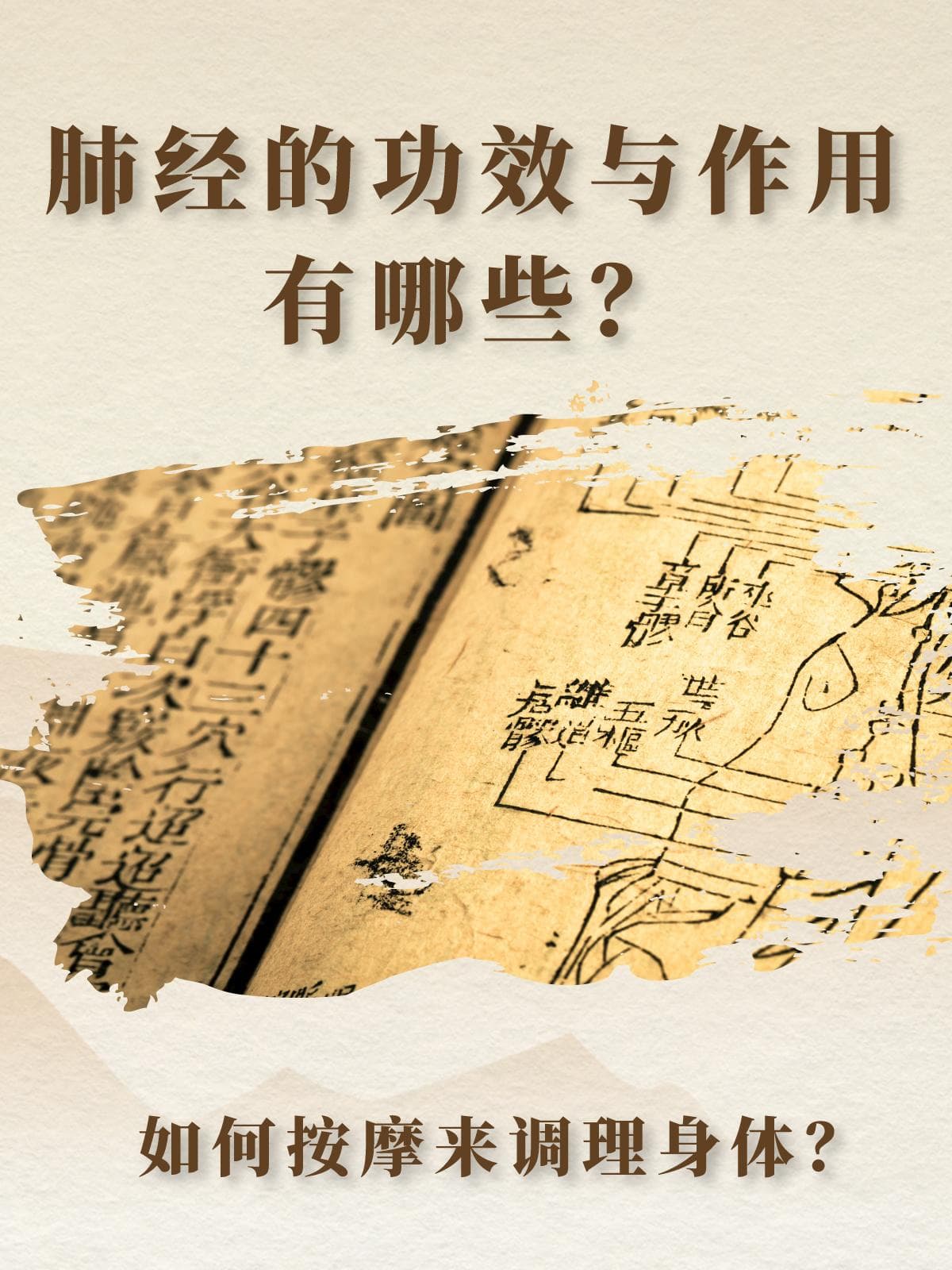 肺经的功效与作用：穴位按摩调理身体指南