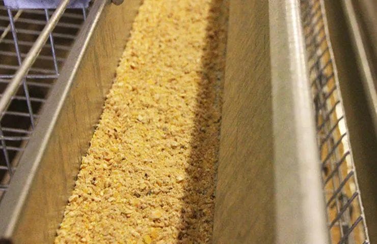 蛋鸡饲料中常见重金属的危害与控制