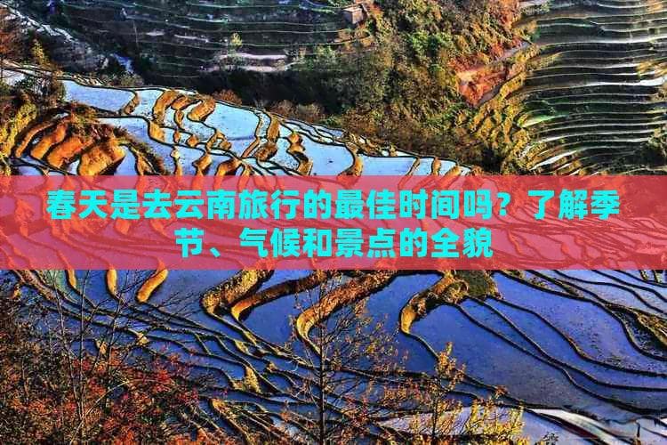 春天是去云南旅行的更佳时间吗？了解季节、气候和景点的全貌