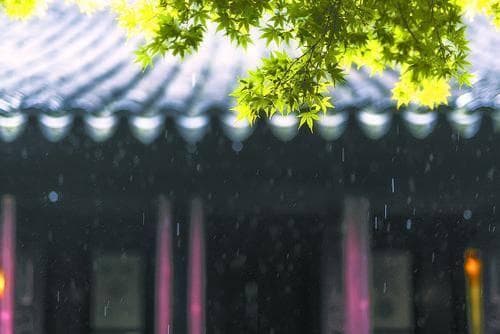 “江南”是中国人心里一块温馨柔软的灵地