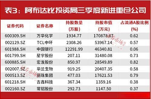 阿布达比投资局的投资策略解析,多元化投资与行业龙头偏爱