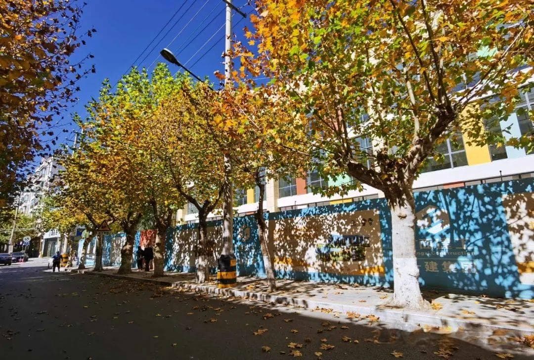 东后街：昭通人的城市记忆与文化地标