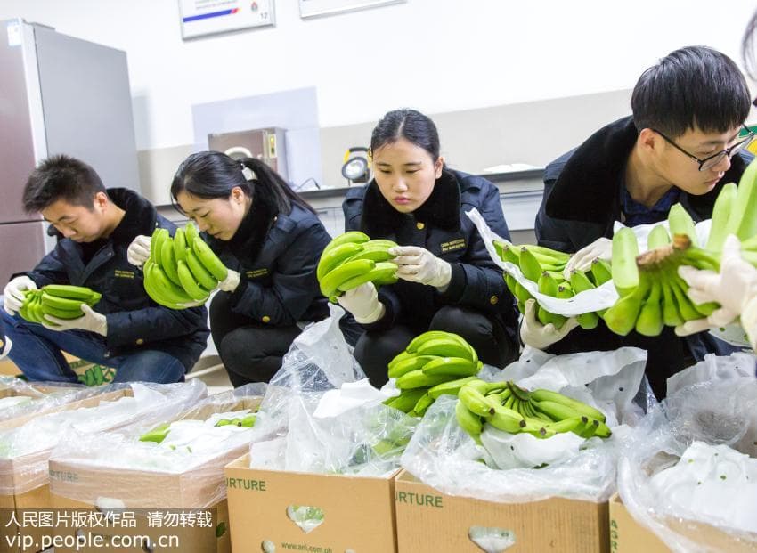 水果煮熟后会损失营养？维C含量低的水果并不会