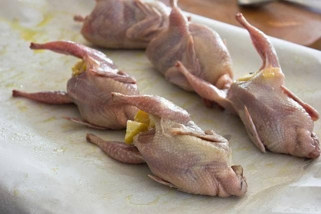 “鸽子肉”常吃有何益处？中医：能改善五大难题，这三类人应慎食