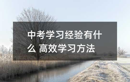 中考学习经验分享：高效学习方法与全面备考指南