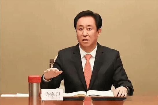官方发布了许家印的处理结果：他的终身禁任令，实际上是对个人信用的一次重创