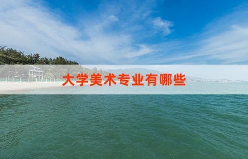 大学美术专业有哪些：课程设置与就业前景探讨