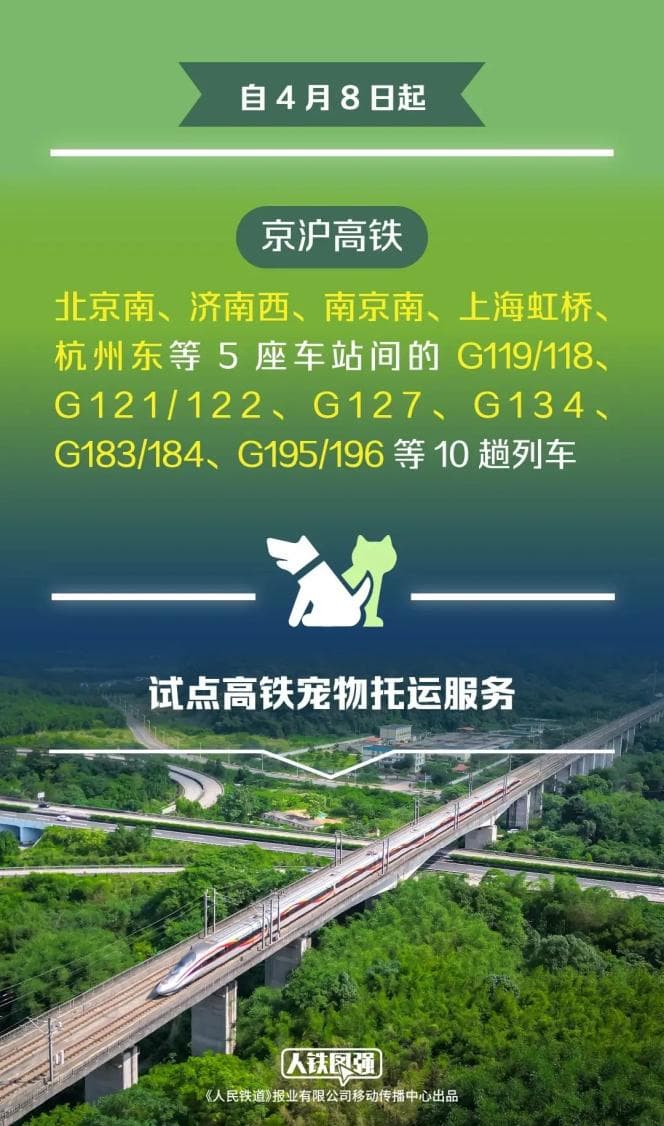 今起，宠物可以坐高铁了！12306上线新功能