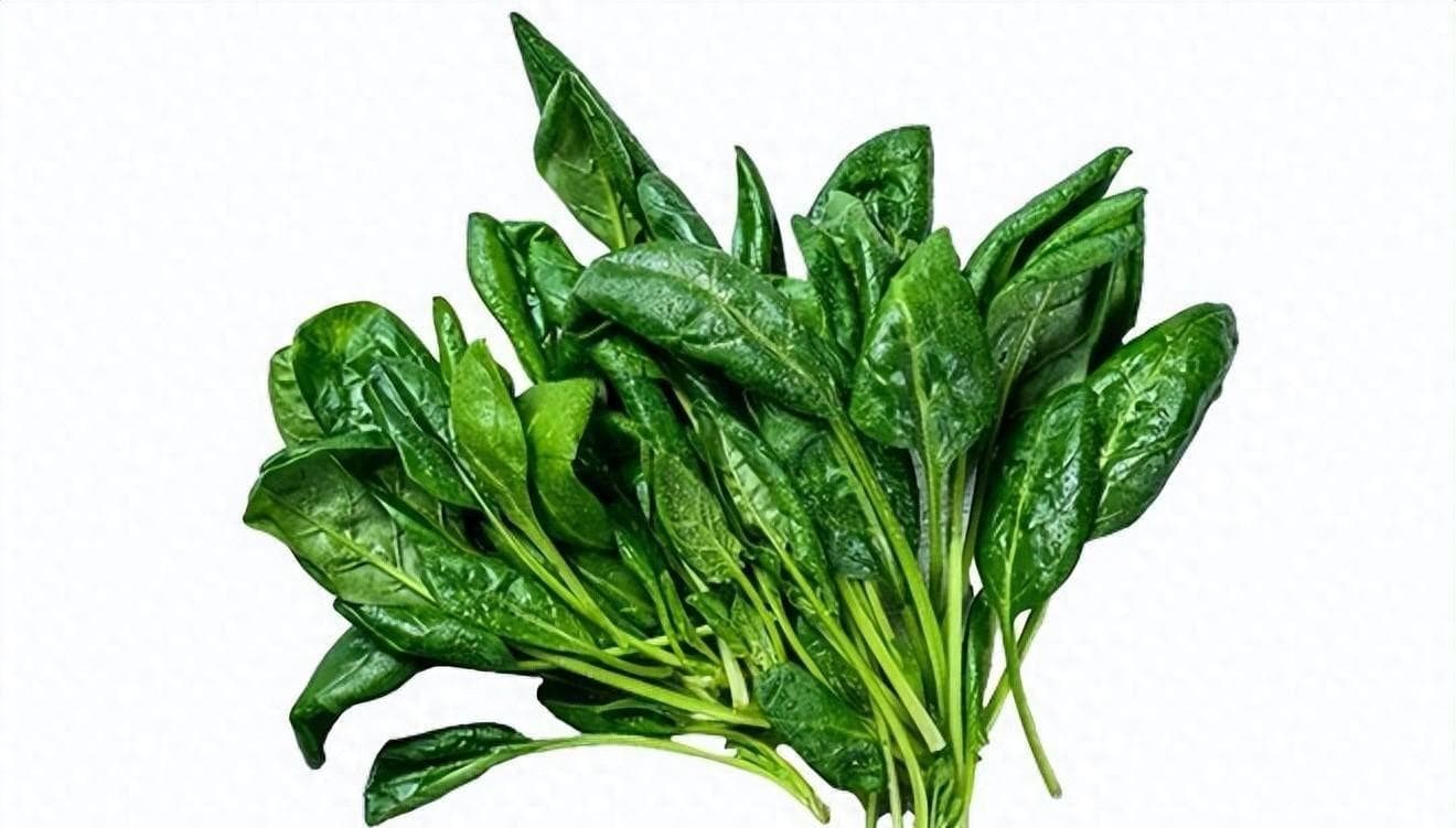 菠菜焯水几分钟去除草酸？