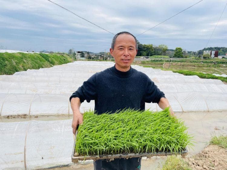 张地埔：机械化种植开拓创业新"稻"路