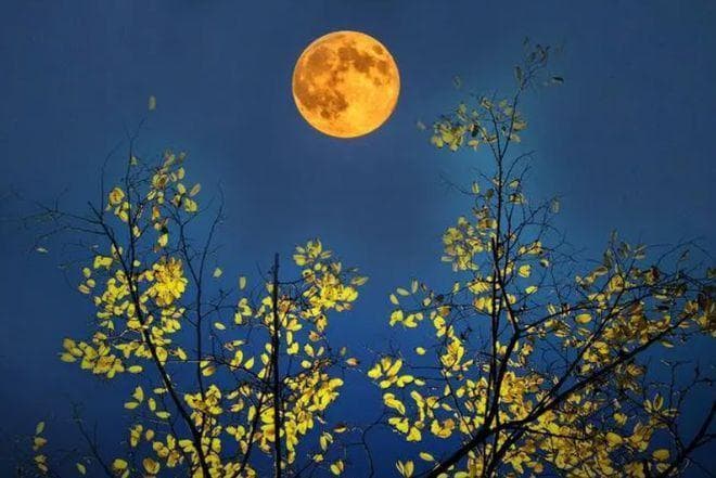 秋风起 夜未央，有关秋夜的诗词，享受秋夜的宁静与美好！