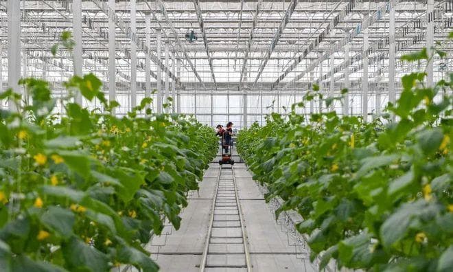 透视挂 透视插件危害大，检测防范需重视，游戏社群如何应对？