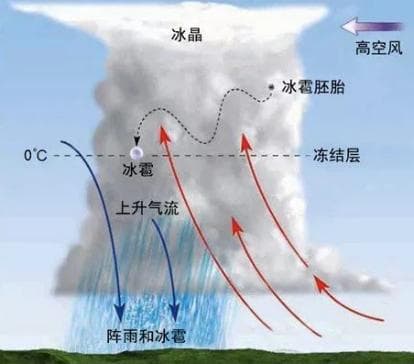 【防灾减灾】气象科普之冰雹灾害及其防御