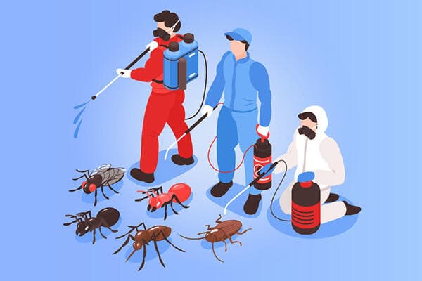 从源头阻断疾病传播链，四害消杀的必要性何在？