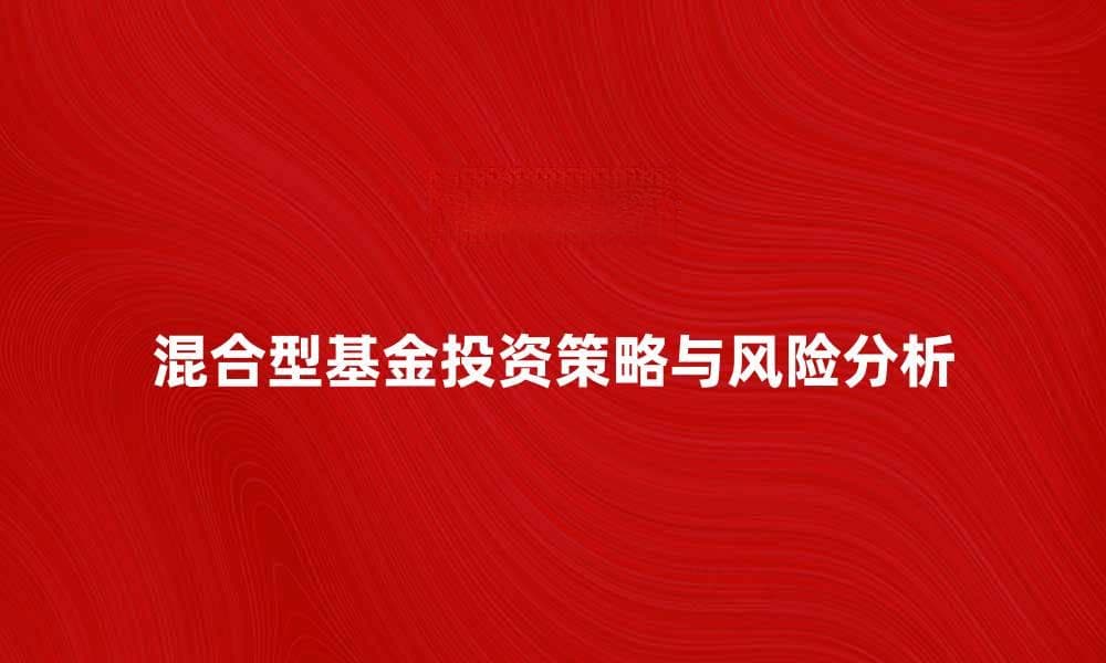 混合型基金的投资策略与风险分析解析