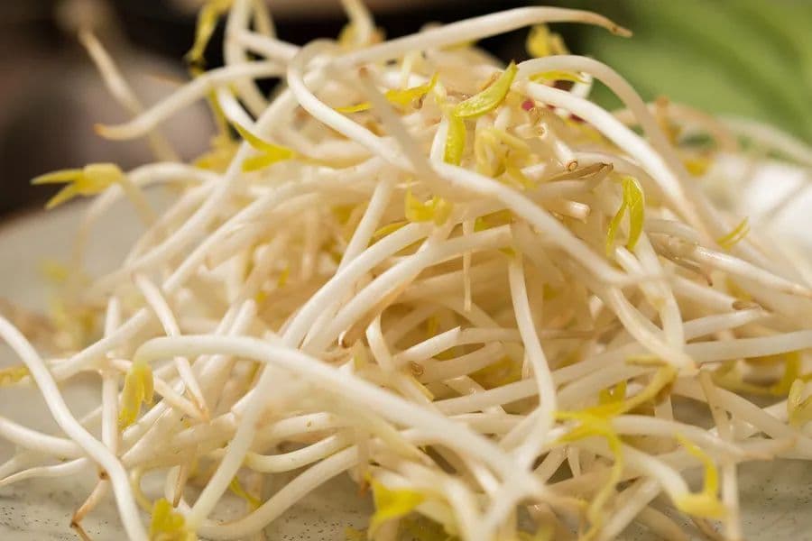 春季多吃这种芽，利五脏、清热毒