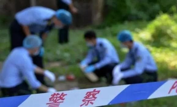 东北奇案：弟弟遇害后“托梦”给姐姐，警方按照梦中地点查出真凶