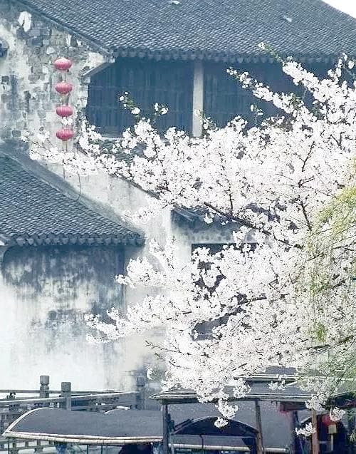 拍花，如何融入中国元素？