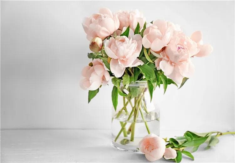 四种自制鲜花保鲜剂，让插花绽放更持久