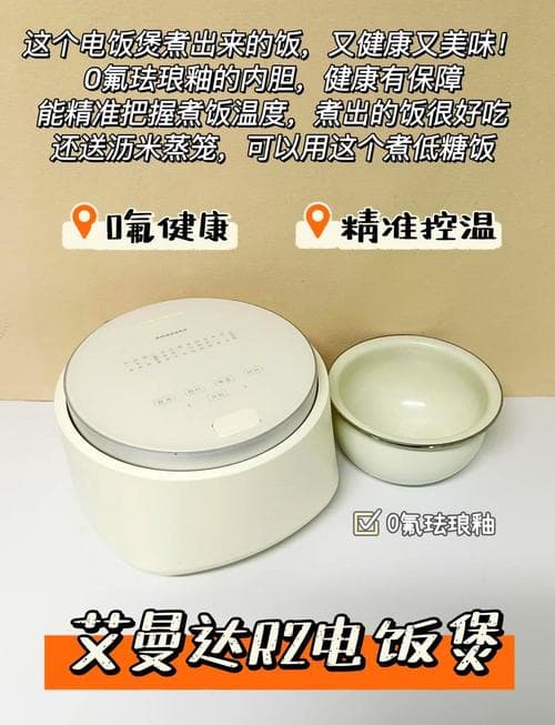 电饭锅尺寸选购指南：从容量到功能的全方位考量