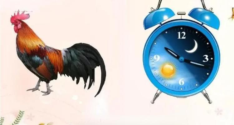 动物身上发明了什么？动物带给我们的奇妙发明：从灵感到产品!