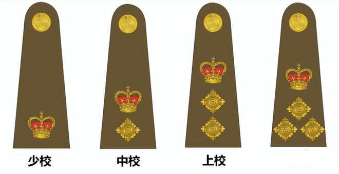 最新准将军衔设计图，探索军事荣誉的象征与未来趋势