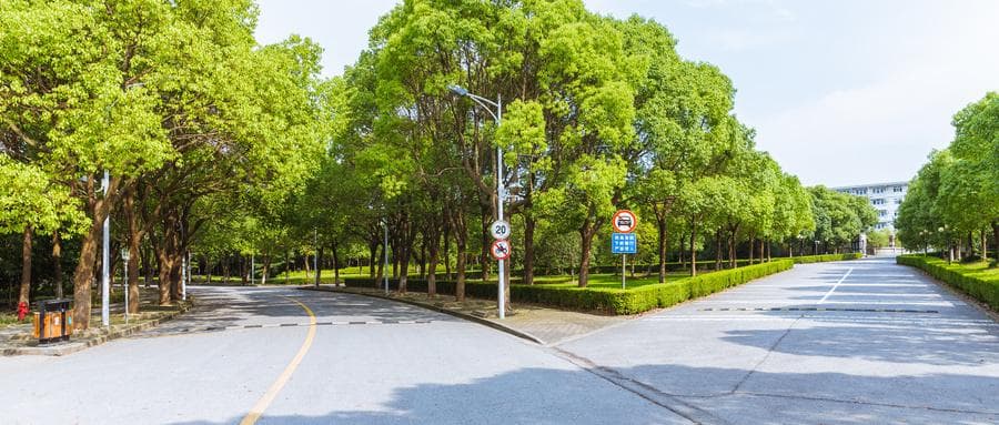 宁波东方理工大学2025年招生计划及预估分数线