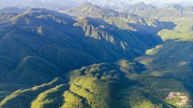 丽水庆元百山祖，三日探秘自然之旅：百山祖国家公园