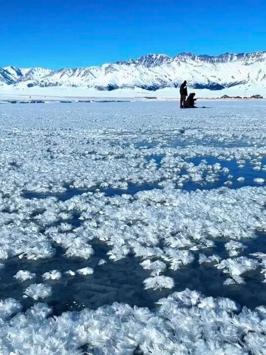 新疆赛里木湖冰泡奇观再现，冰雪蓝湖美景吸睛