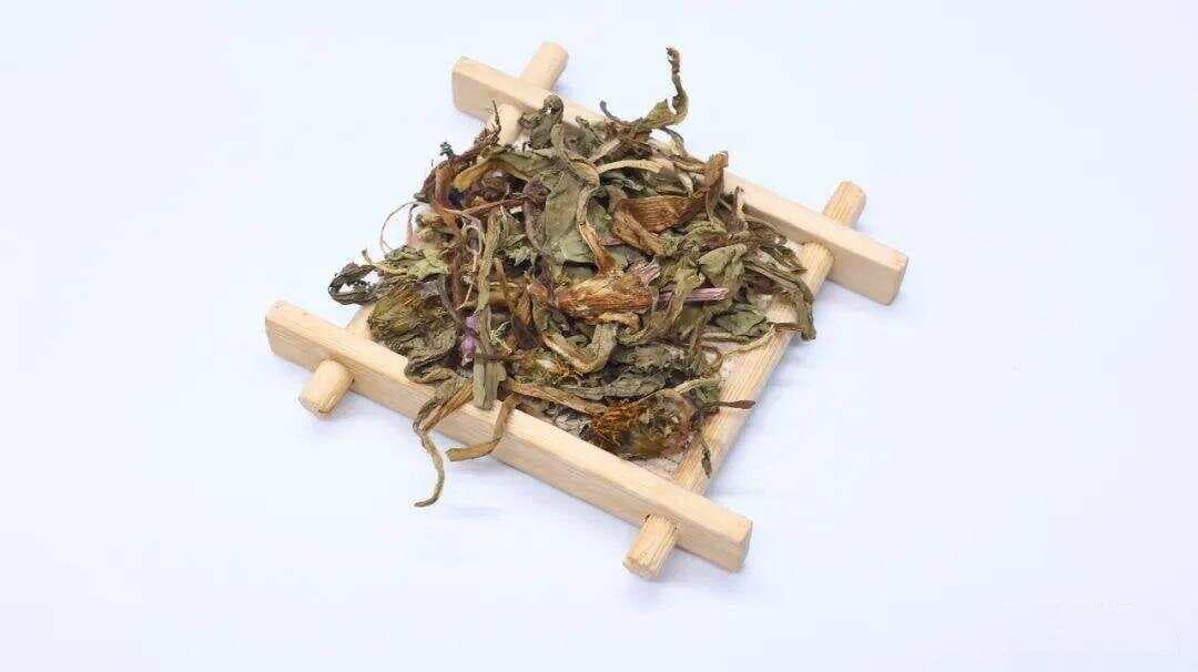 用蒲公英泡茶喝，不仅清热解毒、消肿利尿，还能发挥3种不同的药用功效