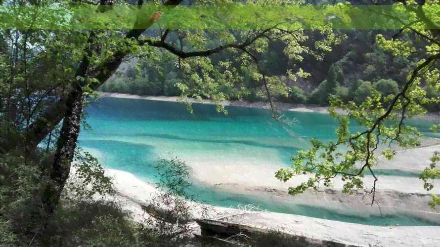 去云南瑞丽旅行所需证件和注意事项，一篇全面指南助您轻松出行