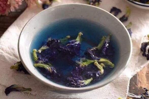 蓝蝴蝶花茶的功效与饮用禁忌