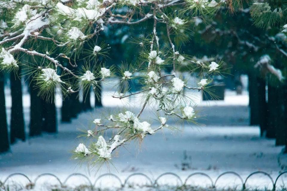 春节理发：一个关于孝道与传承的民俗故事