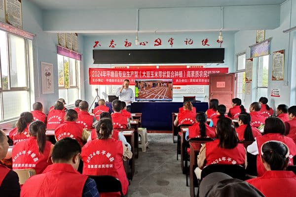 贵州平塘县：技术培训到地头 农户增收有盼头