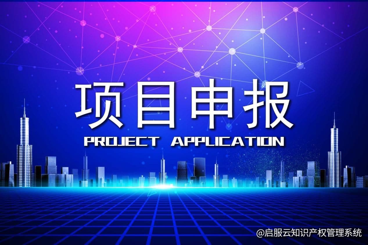 如何避免项目申报中的常见错误和陷阱