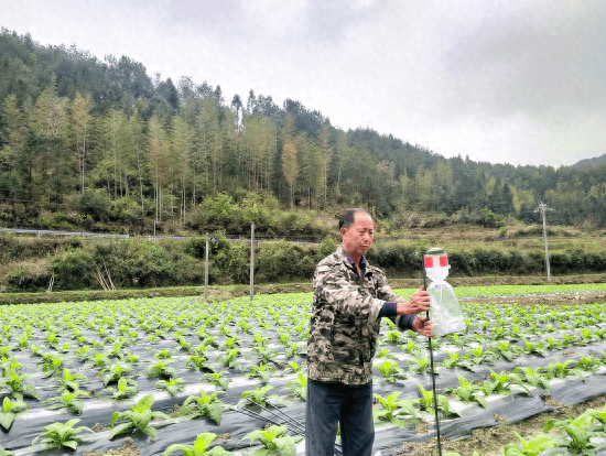 江西石城：推进绿色防控 打造美丽乡村