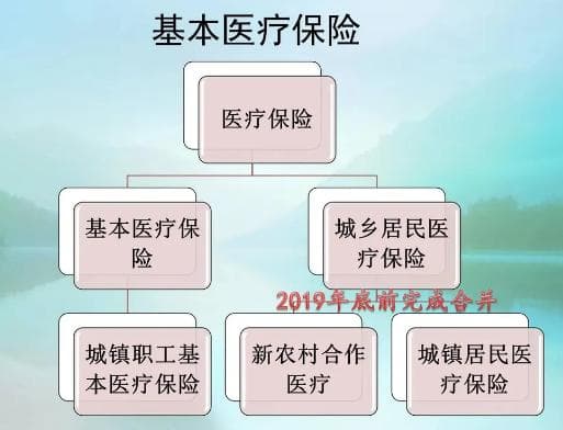 桂华：按这个标准，农民现在的医保负担超过了过去农业税