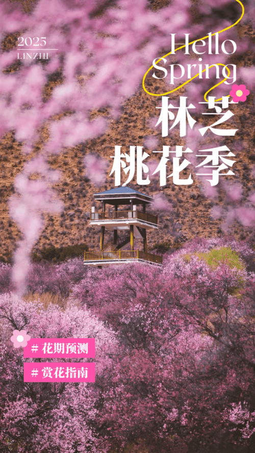 2025年林芝桃花花期大揭秘！快收藏这份赏花指南