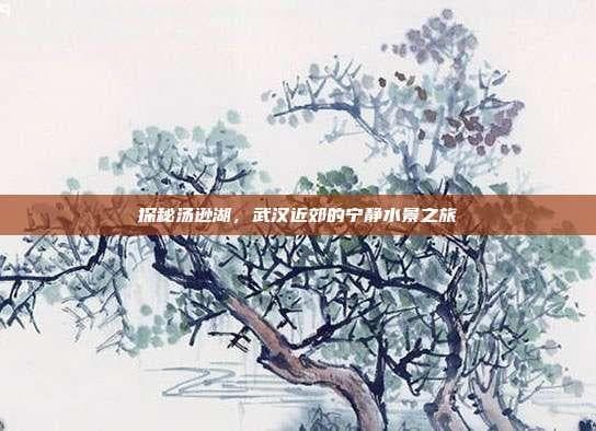 探秘汤逊湖，武汉近郊的宁静水景之旅