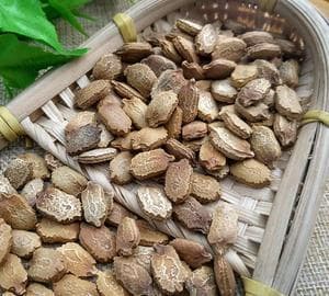 苦瓜籽的功效与作用