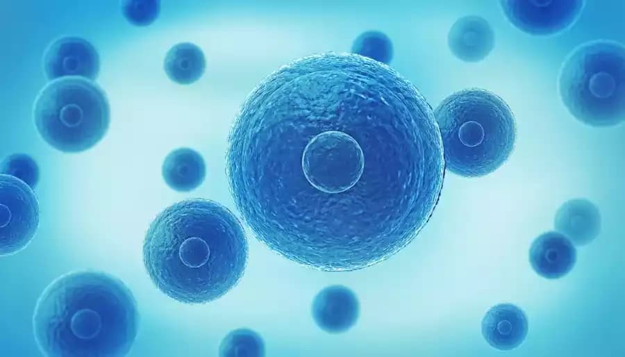 日本看病：结直肠癌手术治疗的基本原则与个性化方案选择