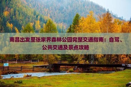 南昌出发至张家界森林公园完整交通指南：自驾、公共交通及景点攻略