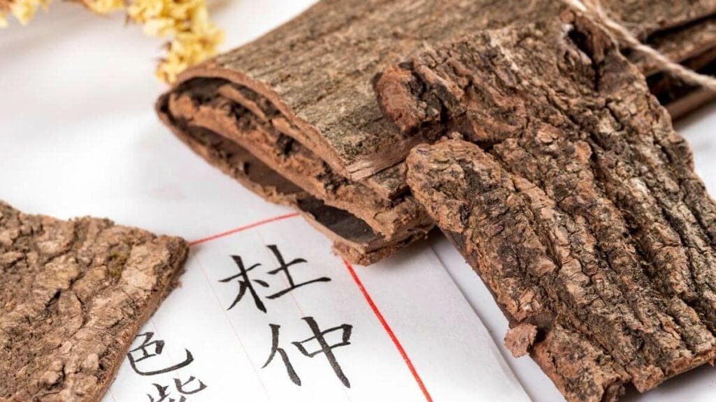 杜仲：传统中药在骨质疏鬆治疗中的新突破