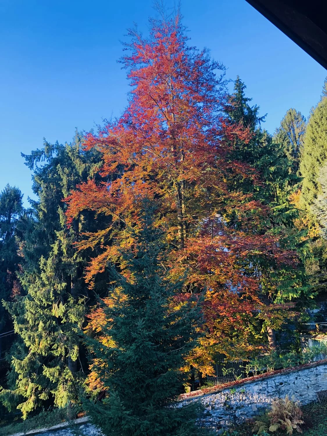 秋日自驾游：新泰莲花山完美路线大揭秘！