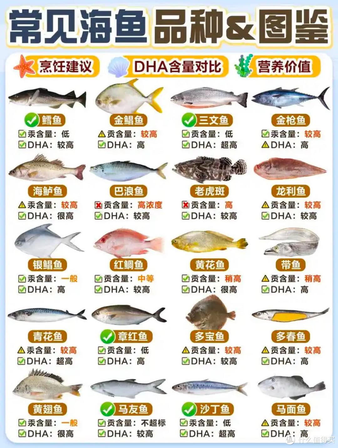 好好学习，多多吃鱼！这些海鱼基础知识你需要知道