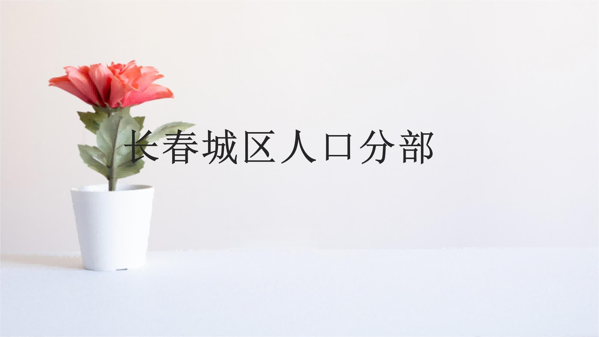 长春城区人口分布研究报告