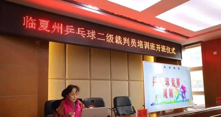 乒乓球裁判规则解析（深入了解乒乓球裁判规则，提高比赛公正性和专业水平）