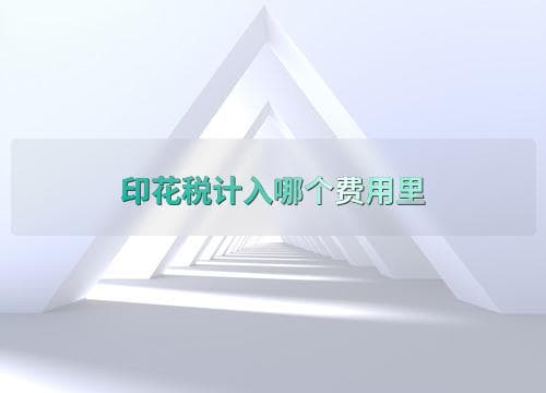 印花税计入哪个费用里